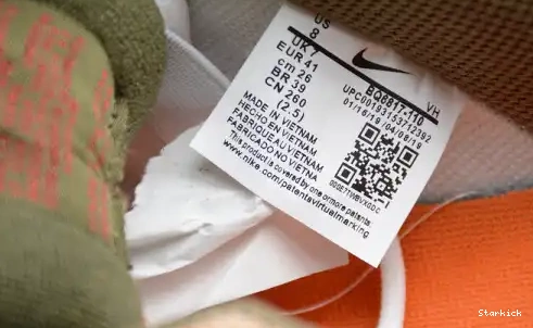 SB Dusty Dunk Low BQ6817-201 Peach Corduroy Nike 0501